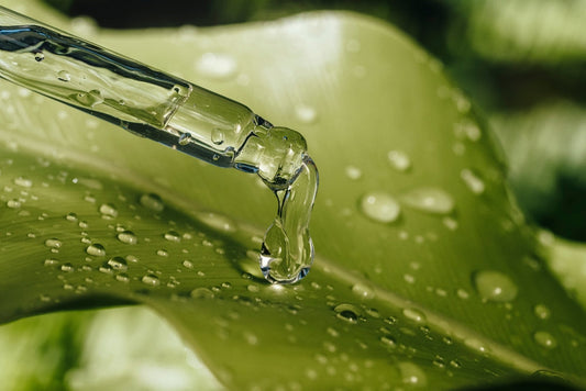 The Sacred Science of Our Ingredients: Why Every Drop Matters
